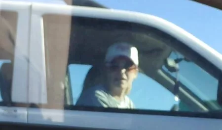 Kuda memakai berpegangan tangan dengan kartun main romen seorang lelaki di dalam pantat