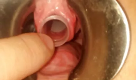 Menawan dan glamor videolucah suri rumah