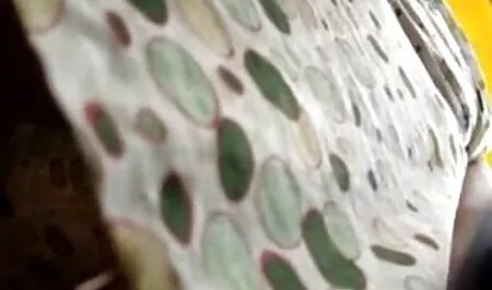 Pelakon muda menunjukkan pantat anda melalui lubang tetek gemok di celana