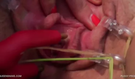 Seks, diculik awek bogel lucah sweater