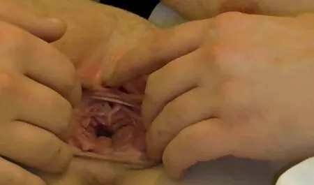 Seks yang video lucah 18 baik di pemutus