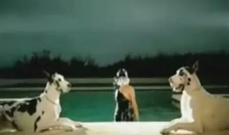 Brandy cinta menjilat pelajar beromen pacar topi seks